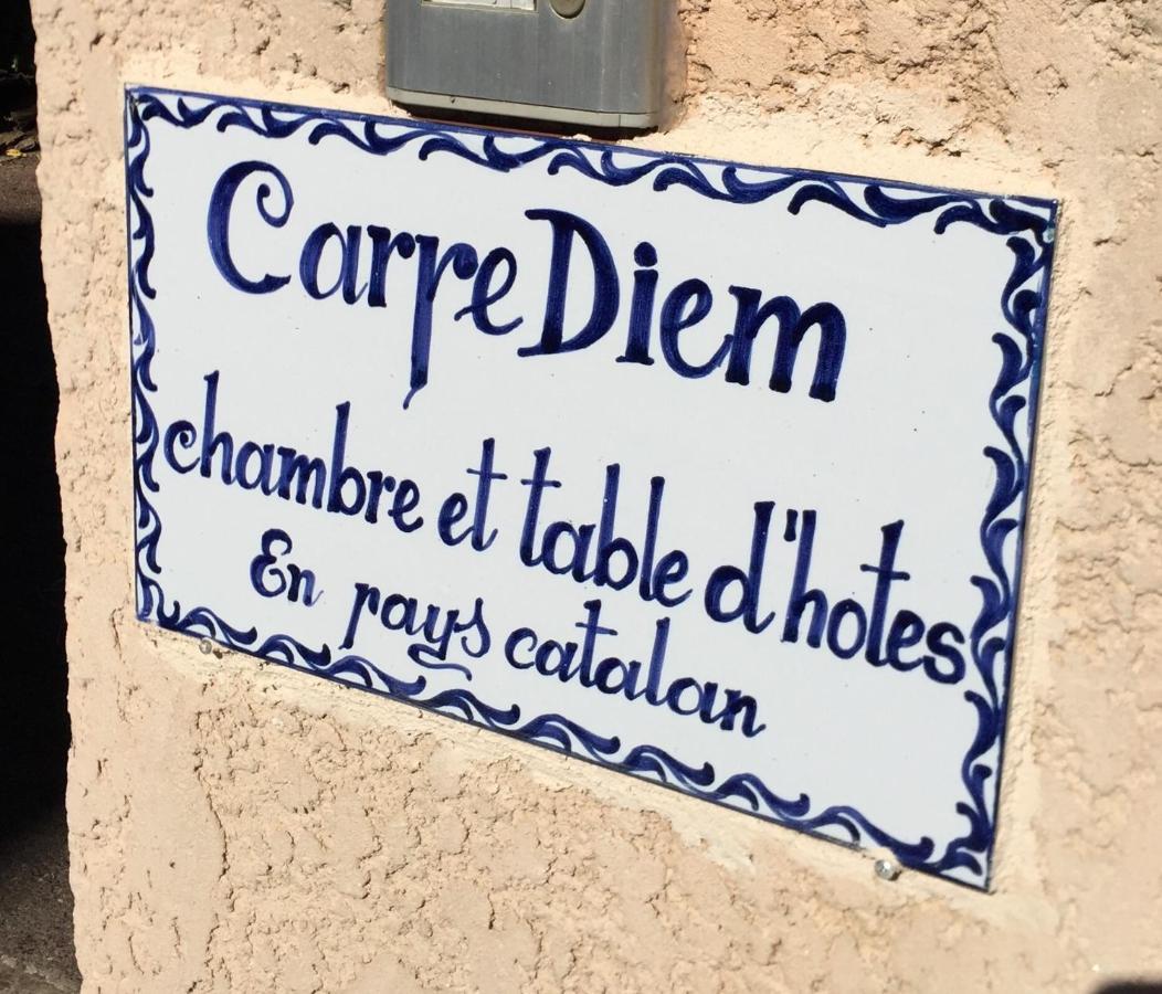 Chambres Table D'Hotes Carpe Diem Villeneuve-la-Riviere Bagian luar foto