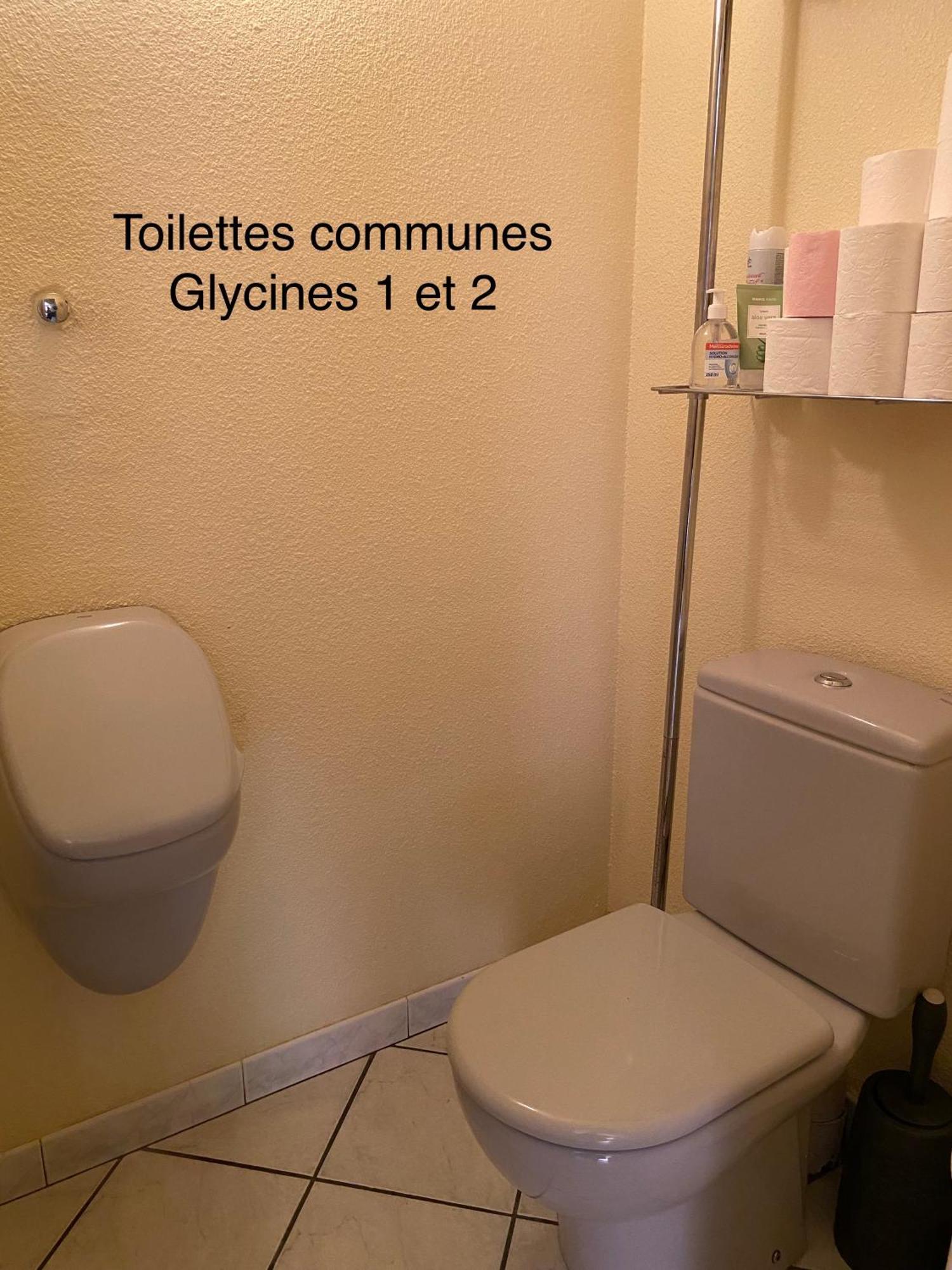 Chambres Table D'Hotes Carpe Diem Villeneuve-la-Riviere Bagian luar foto